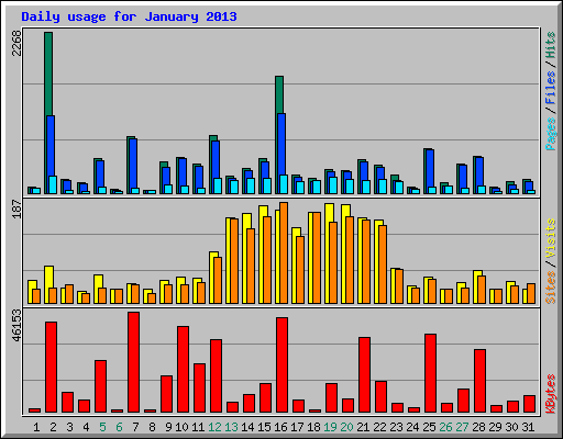 Daily usage for January 2013