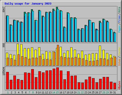 Daily usage for January 2023
