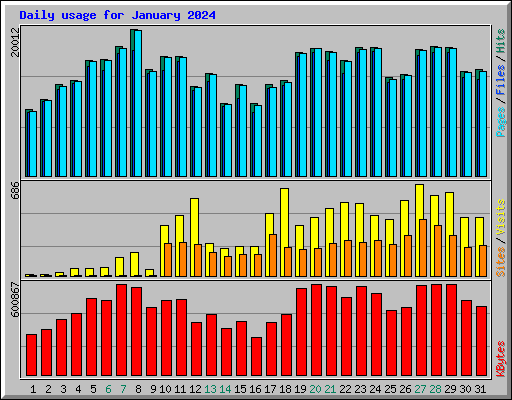 Daily usage for January 2024