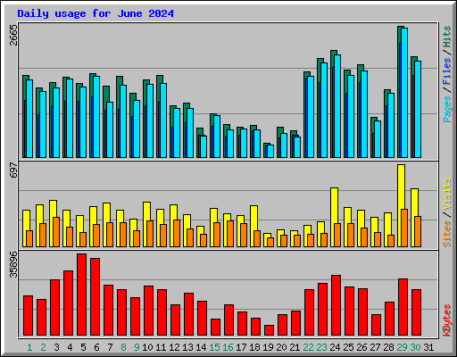 Daily usage for June 2024