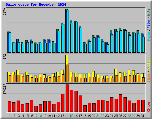 Daily usage for December 2024