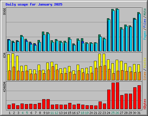 Daily usage for January 2025