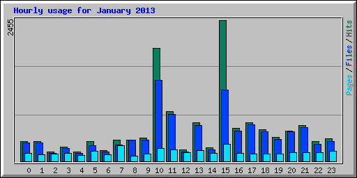 Hourly usage for January 2013