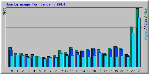 Hourly usage for January 2014