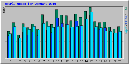 Hourly usage for January 2015