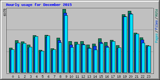 Hourly usage for December 2015
