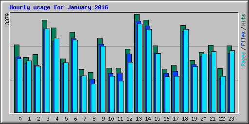 Hourly usage for January 2016