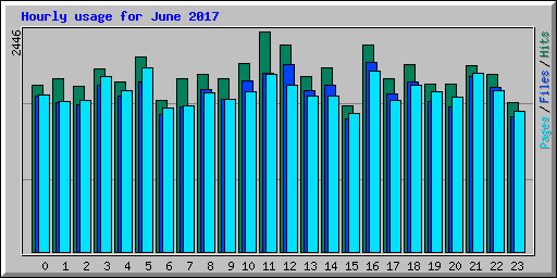Hourly usage for June 2017