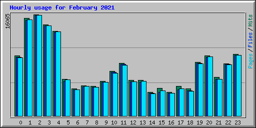 Hourly usage for February 2021