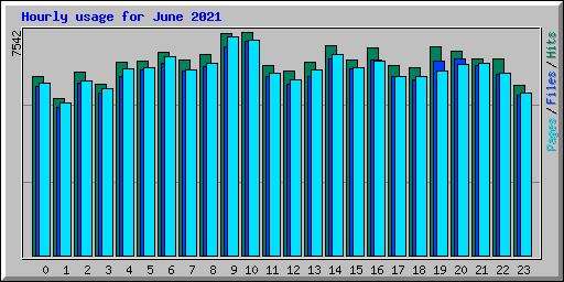 Hourly usage for June 2021