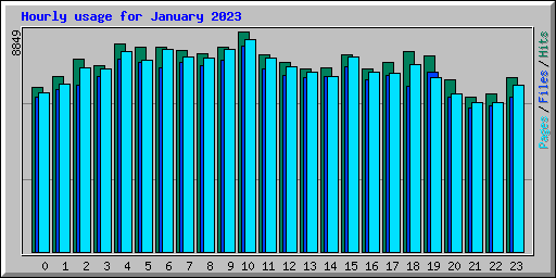 Hourly usage for January 2023