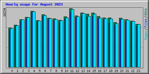 Hourly usage for August 2023