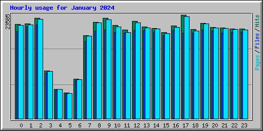 Hourly usage for January 2024