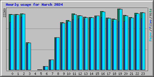 Hourly usage for March 2024