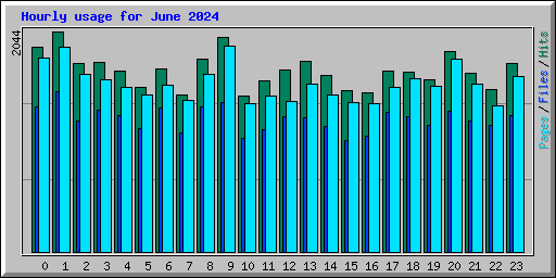 Hourly usage for June 2024