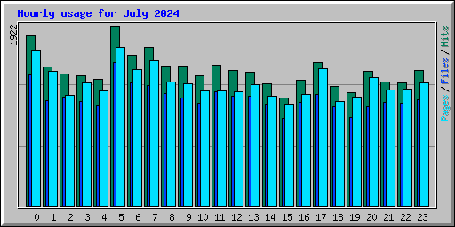 Hourly usage for July 2024