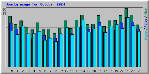 Hourly usage for October 2024