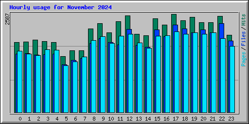 Hourly usage for November 2024