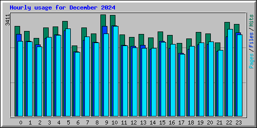 Hourly usage for December 2024