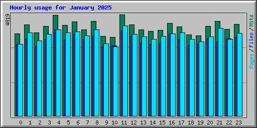 Hourly usage for January 2025