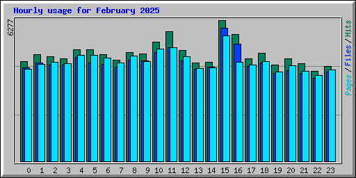 Hourly usage for February 2025