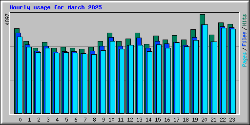 Hourly usage for March 2025
